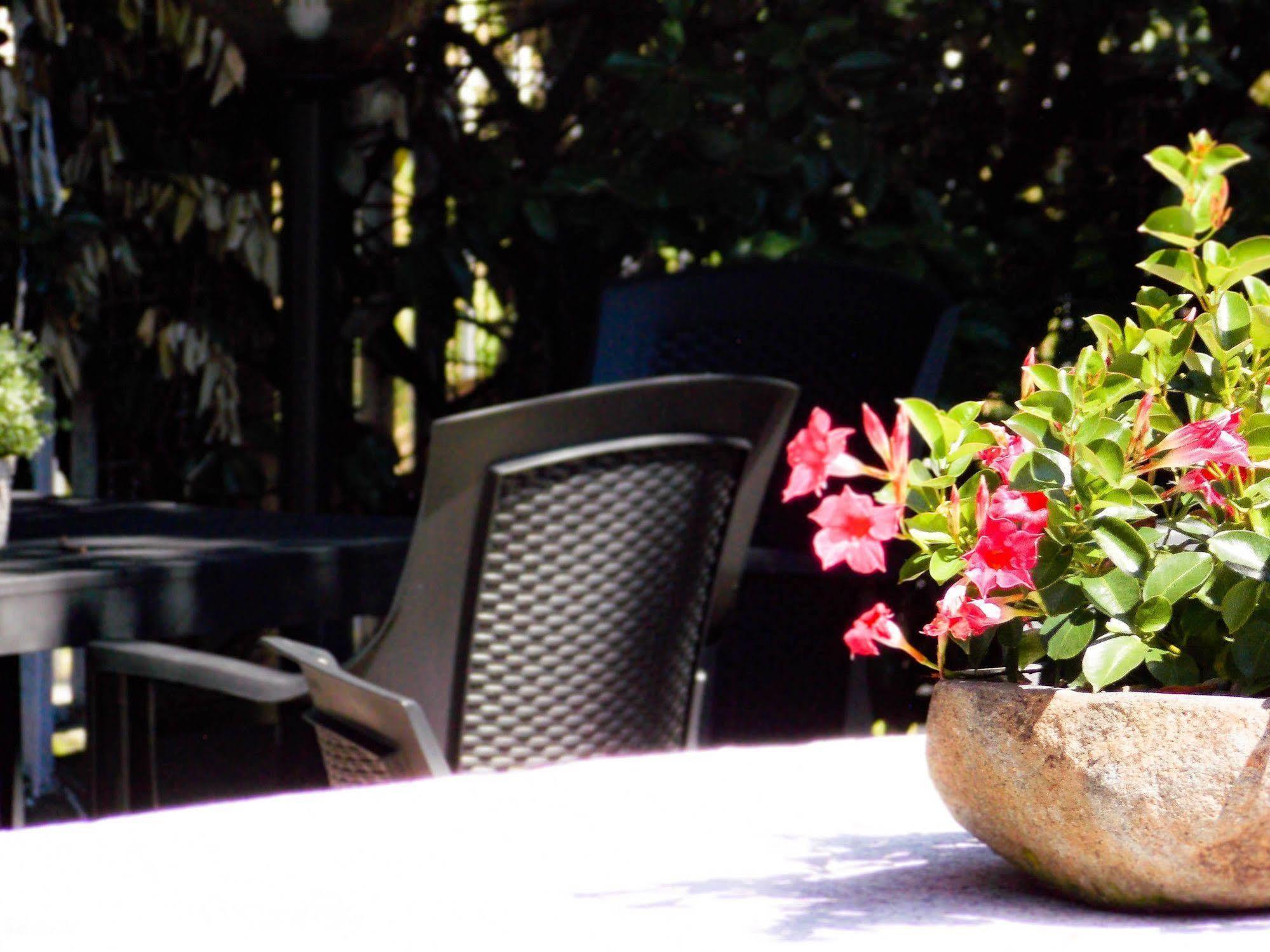 Hotel Alpino Cuasso Al Monte Exterior photo